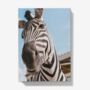 A5 Hardback Notebook Featuring An Adorable Zebra, thumbnail 1 of 4