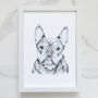 Personalised Pet Portrait Drawing, thumbnail 4 of 11