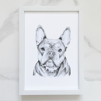 Personalised Pet Portrait Drawing, 4 of 11