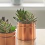 A Copper Coloured Tin Of Faux Succulents, thumbnail 2 of 2