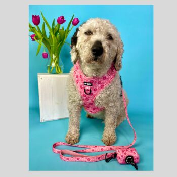 Pink Floral Dog Harness, 4 of 4