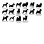 Personalised Pet Dog Breed Keepsake Valentine's Gift, thumbnail 11 of 12