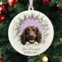 Personalised Christmas Boykin Spaniel Break Through, thumbnail 3 of 10