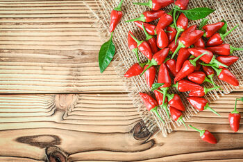 Chilli Plants, 'Super Fresno', 5 of 10