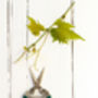 Personalised Godfather Mulberry Tree Gift, thumbnail 3 of 6