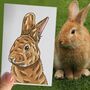 Personalised Rabbit Half Portrait Print, thumbnail 3 of 11