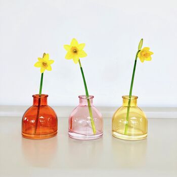Set Of Three Small Coloured Glass Bud Vases, 2 of 4