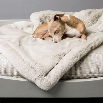 Charley Chau Faux Fur Dog Blanket In Silver Mink, 5 of 5