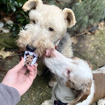 Personalised Heart Pup Cup Birthday Gift For Dog, 11 of 12