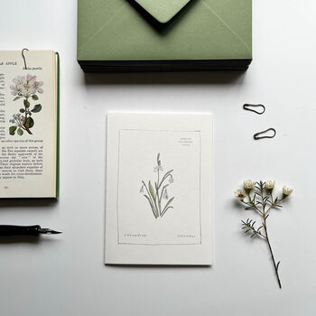 ‘Snowdrop’ Botanical Spring Flower Notecard, 2 of 4