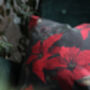 Poinsettia Cushion Cover Charcoal, thumbnail 6 of 8