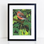 Garden Bird Art Prints 'Choice Of Twelve Designs', thumbnail 4 of 12