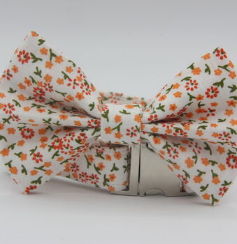 Orange Daisy Dog Bow Tie, 11 of 11