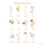 Everlasting Blooms: Family Tree Birth Flower Print, thumbnail 3 of 12