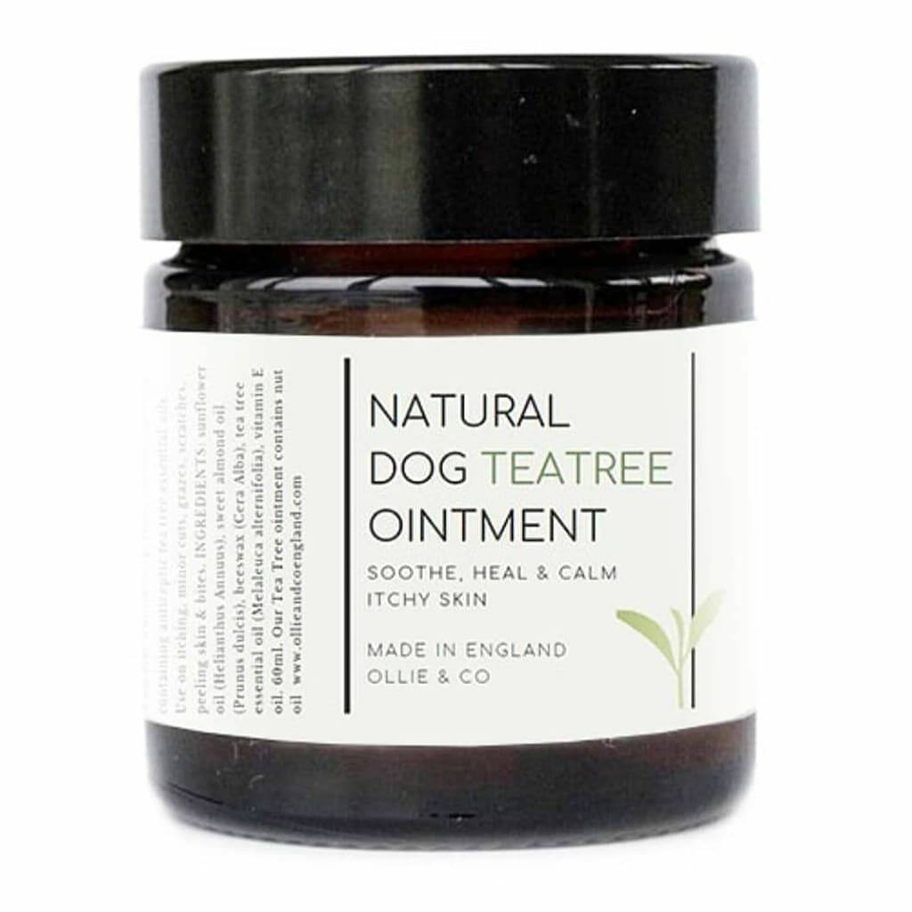 Natural Dental And Skin Care Set For Dogs By Ollie & Co