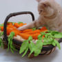 Catnip Toys, Carrots Cat Toys Pack Of One, thumbnail 1 of 3