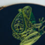 Frog Embroidery Kit, thumbnail 2 of 10