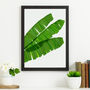 Leafy Green Tropical Botanical Prints Triptych, thumbnail 2 of 4