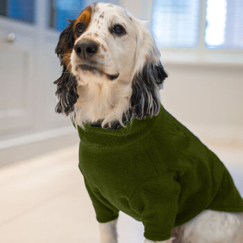 Personalised Dog Fleece In Forest Green, 2 of 4