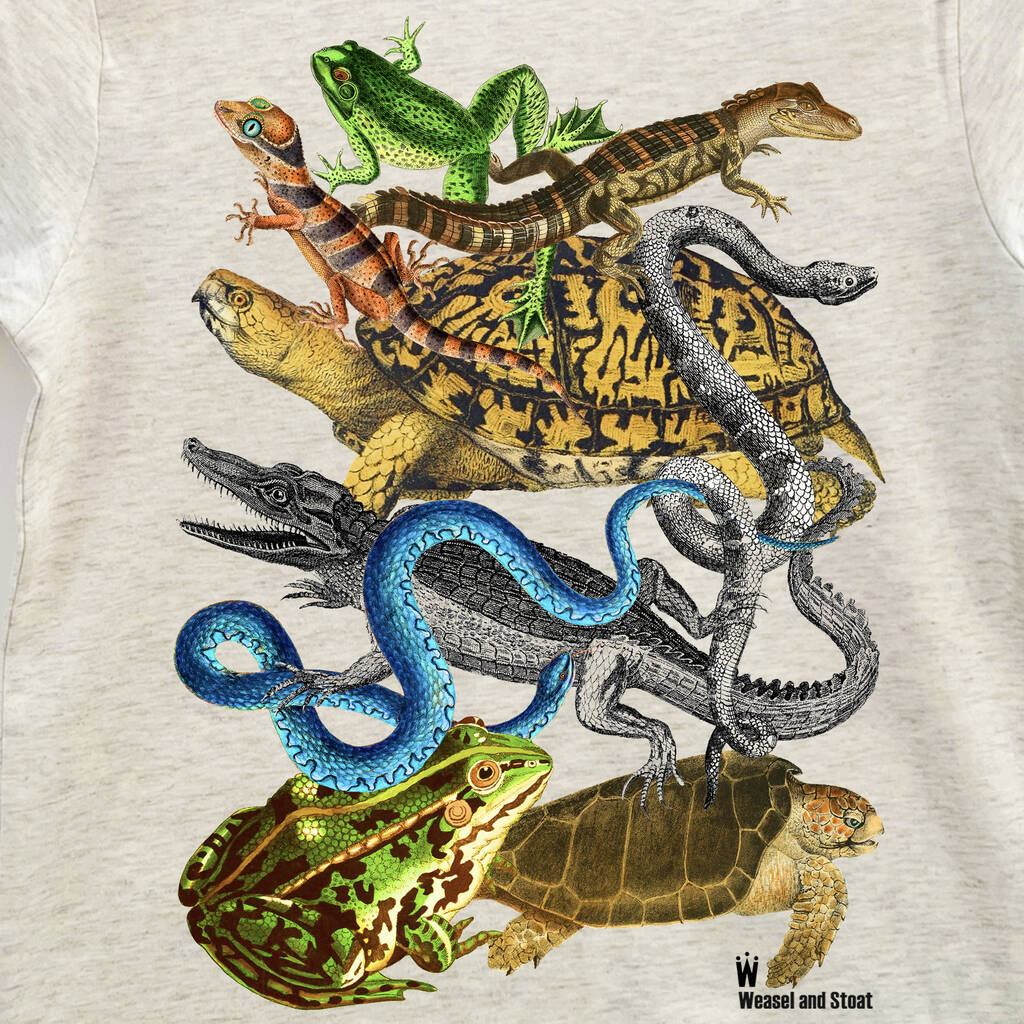Personalised Reptiles And Amphibians Kids T Shirt By Weasel and Stoat