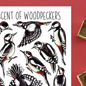 Woodpeckers Wildlife Watercolour Postcard, 6 of 8