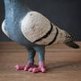 Cast Iron Standing Pigeon Ornament, thumbnail 2 of 4