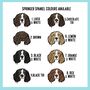 Springer Spaniel ID Tag, thumbnail 4 of 5