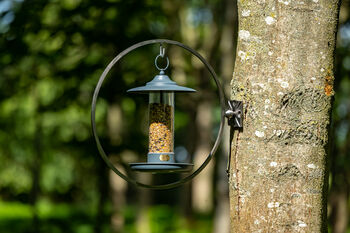 Larch Twilight Bird Feeder, 3 of 3