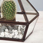 Geometric Glass Diamond Succulent Empty Terrarium, thumbnail 4 of 4