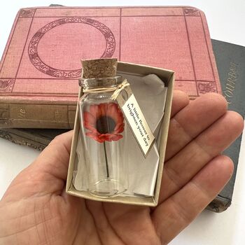 Tiny Gerbera Daisy In A Bottle With Personalised Tag, 10 of 11