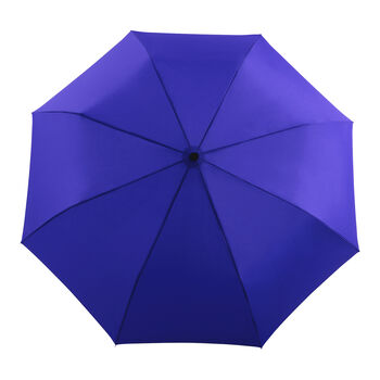 Royal Blue Eco Friendly Umbrella, 3 of 5