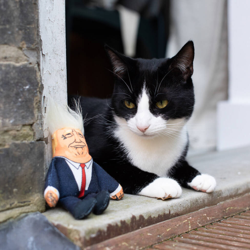 Political Cat Toy, 1 of 5