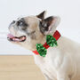 Christmas Sequin Dog Bow Tie, thumbnail 1 of 4