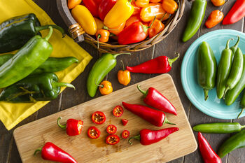 Chilli Plants, 'Super Fresno', 10 of 10