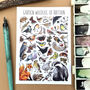 Gardens Wildlife Of Britain Watercolour Postcard, thumbnail 1 of 11