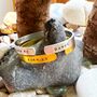 Born To Dance Personalised Bangle Jewellery Gift, thumbnail 1 of 9
