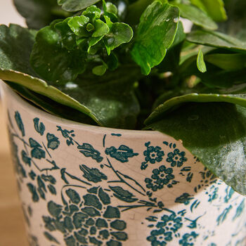 Set Of Two Green Floral Plant Pots, 4 of 5