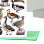 Geese Of Britain Greeting Card, thumbnail 7 of 7