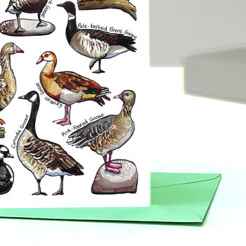 Geese Of Britain Greeting Card, 7 of 7