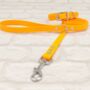 Waterproof Dog Collar And Lead Set Peach, thumbnail 1 of 3