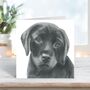 Adorable Labrador Puppy Hand Drawn Card, thumbnail 6 of 7