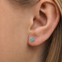 Sterling Silver Turquoise Quatrefoil Flower Stud Earrings, thumbnail 1 of 3