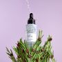 Scalp + Hair Oil Treatment With Rosemary Oil For Growth, thumbnail 3 of 8