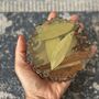 Set Of Four Garam Masala Infused Coasters, thumbnail 1 of 12