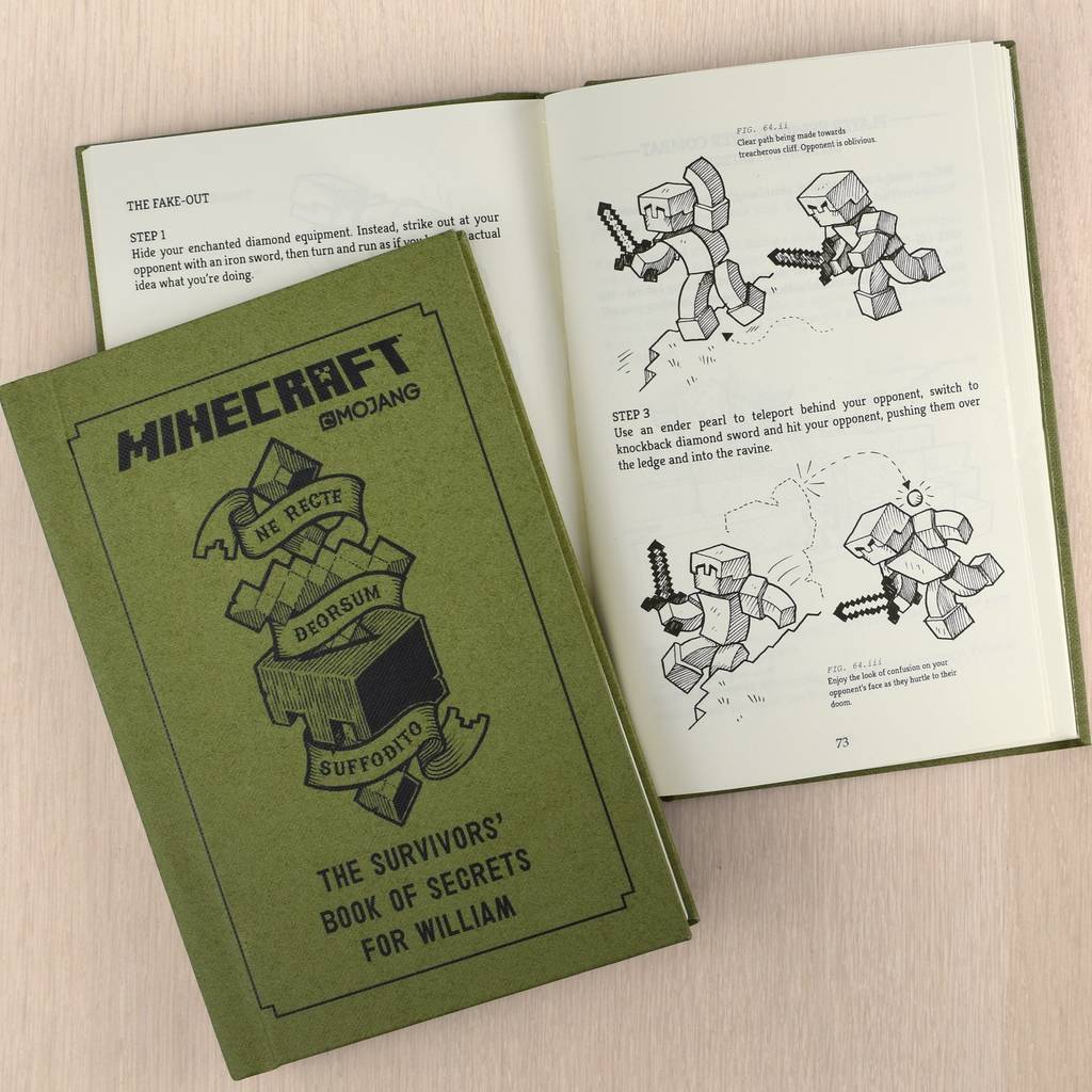 big w minecraft book set