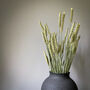 Dried Wheat Natural Stems, thumbnail 3 of 5
