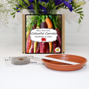 Grow Your Own Rainbow Carrots. Veg Growing Kit, 2 of 4