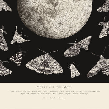 Moths And The Moon, 2 of 3
