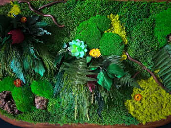 Moss Wall Art With Preserved Flowers, 9 of 12