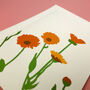 Welsh Pot Marigold Illustrated Card With Seeds, thumbnail 3 of 6